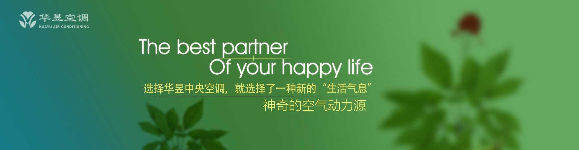 狗窦大开网
